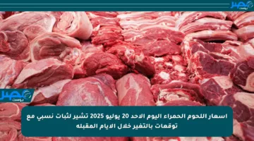 أسعار اللحوم الحمراء اليوم الأحد 20 يوليو 2025 تشير لثبات نسبي مع توقعات بالتغير خلال الأيام المقبلة